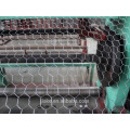 automatic GI Chicken wire mesh machine with PLC control